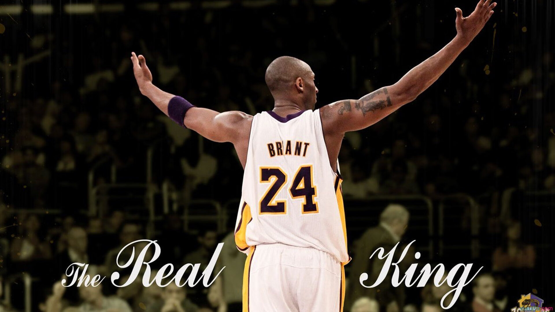 中国男篮的未来取决于青训建设,中国男篮前景分析